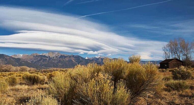 The programs featured image